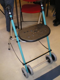 Déambulateur ara de Forta