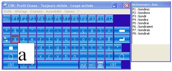 Image&nbsp;: dictionnaire et loupe.