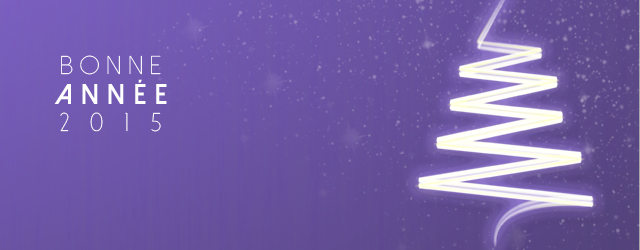 Carte de voeux 2015 web