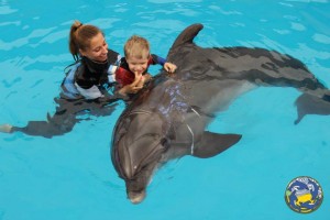 1376314_528556710568041_1779031366_n